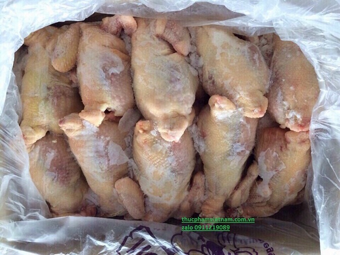 Gà nguyên con đông lạnh giá bao nhiêu 1kg hôm nay?